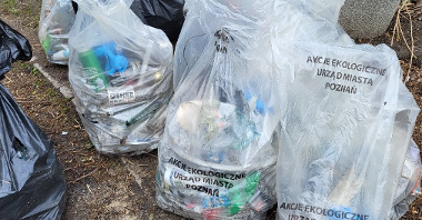 Zdjęcie przedstawia worki ze śmieciami.