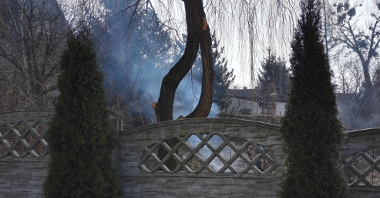 Dym wydobywający się przy spalaniu suchych liści
