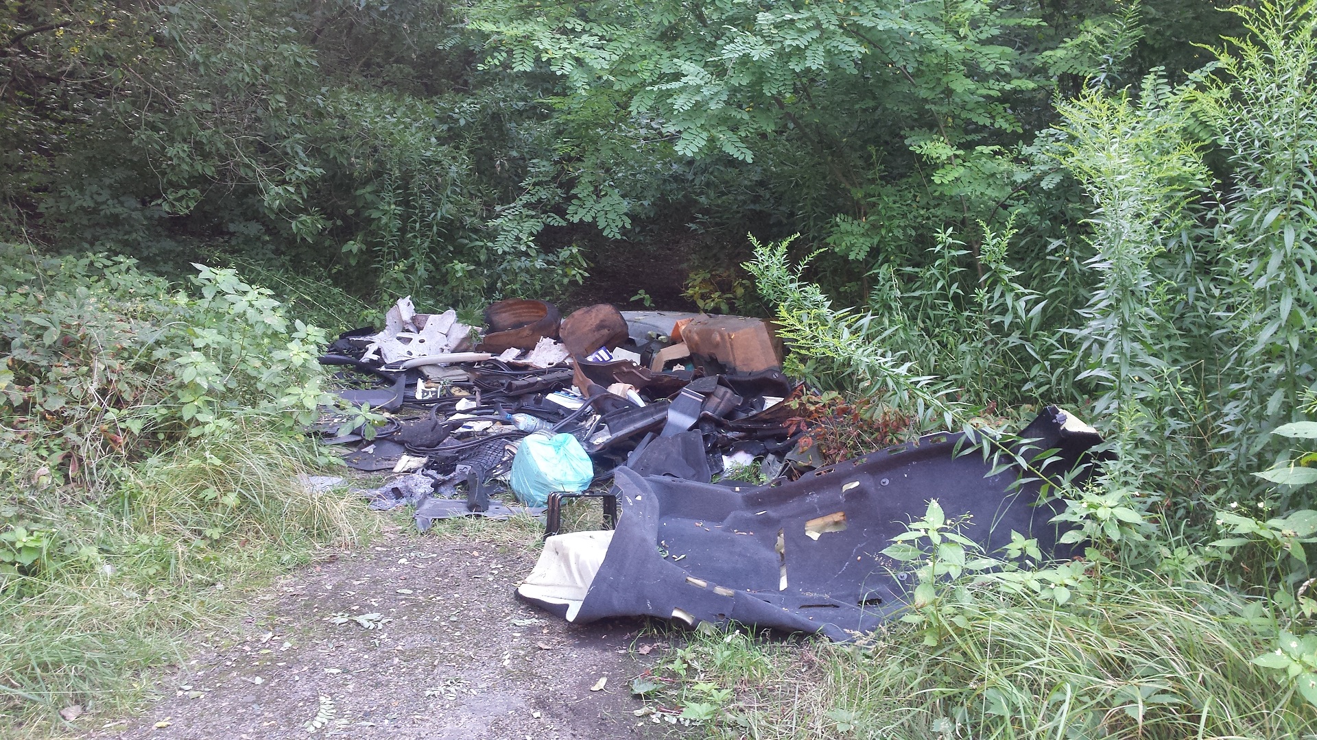 Odpady porzucone na drodze dojazdowej do Fortu V przy ul. Lechickiej - grafika artykułu