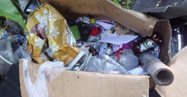 Odpady porzucone na drodze dojazdowej do Fortu Va przy ul. Lechickiej